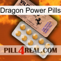 Dragon Power Pills 41